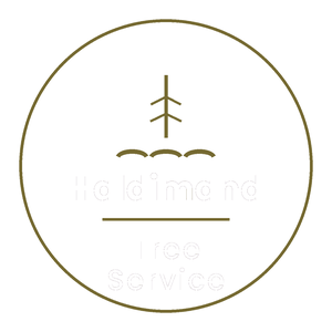 Haldimand Tree Service